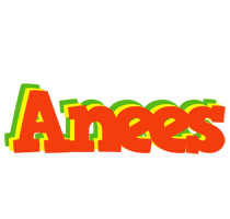 Anees bbq logo