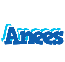 Anees business logo