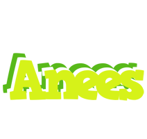 Anees citrus logo