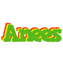 Anees crocodile logo