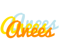 Anees energy logo