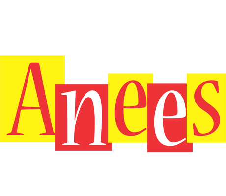 Anees errors logo