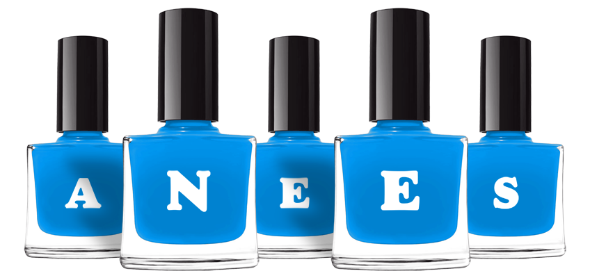 Anees glossy logo