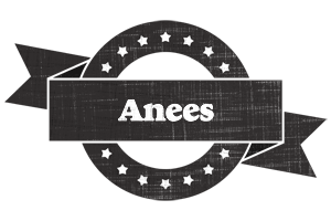 Anees grunge logo