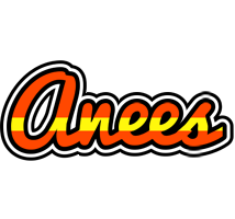 Anees madrid logo