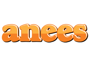 Anees orange logo