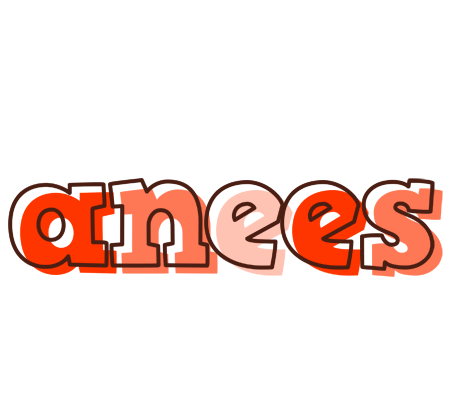 Anees paint logo