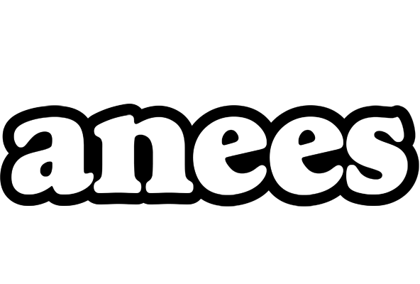 Anees panda logo