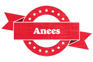 Anees passion logo