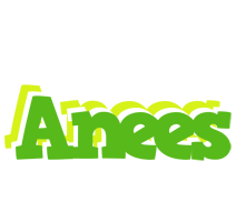 Anees picnic logo