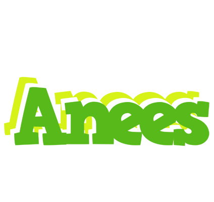 Anees picnic logo