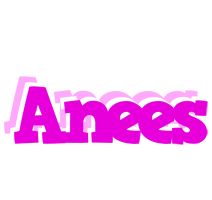 Anees rumba logo