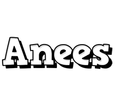 Anees snowing logo