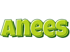 Anees summer logo