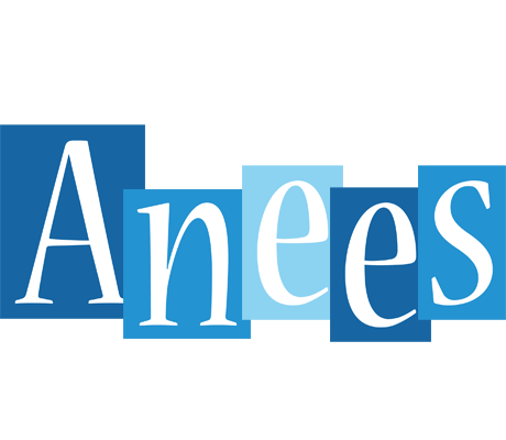 Anees winter logo