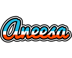 Aneesa america logo