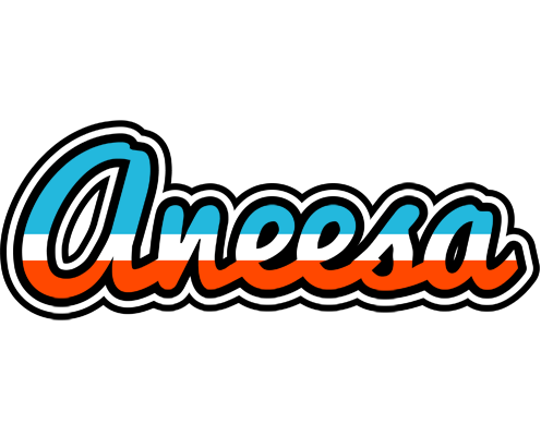 Aneesa america logo
