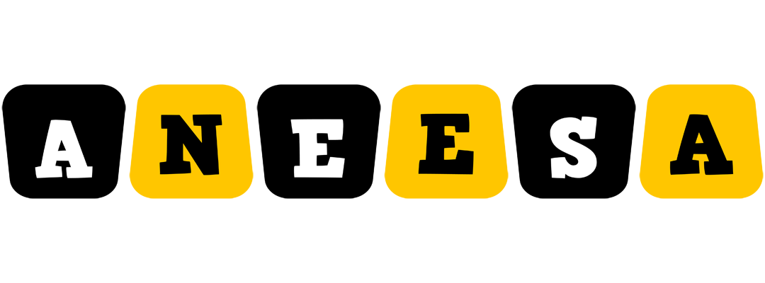 Aneesa boots logo