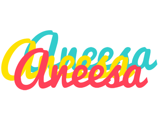 Aneesa disco logo