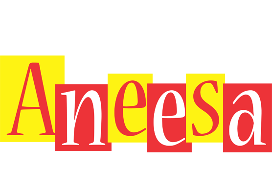 Aneesa errors logo