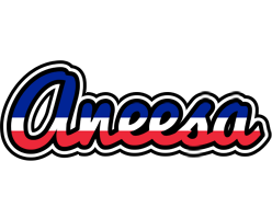 Aneesa france logo