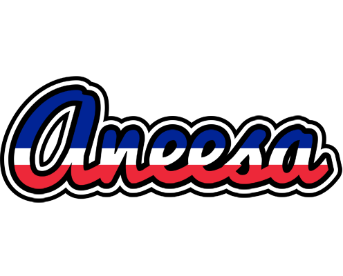 Aneesa france logo