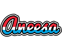 Aneesa norway logo