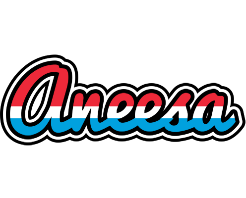 Aneesa norway logo