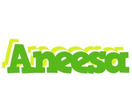 Aneesa picnic logo