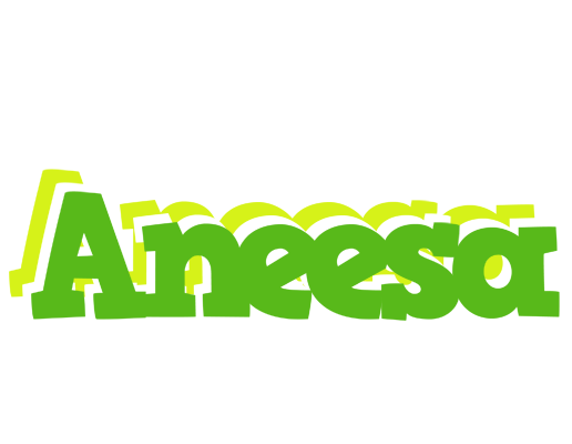 Aneesa picnic logo