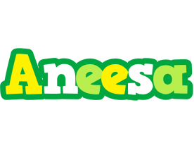 Aneesa soccer logo