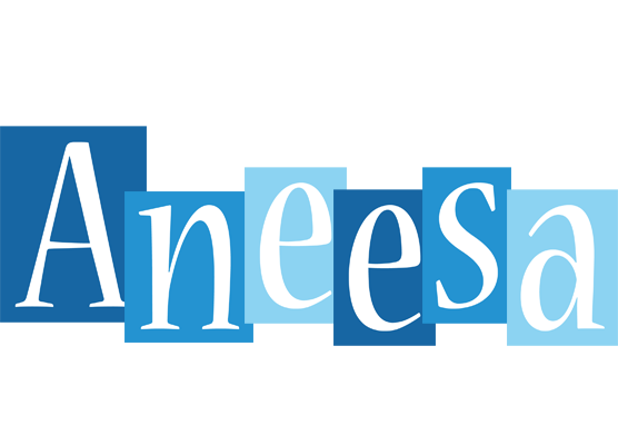 Aneesa winter logo