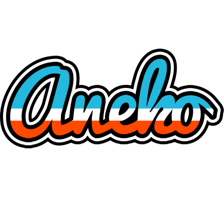 Aneko america logo