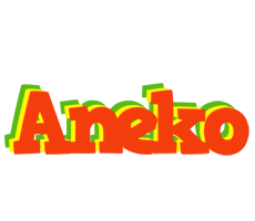 Aneko bbq logo