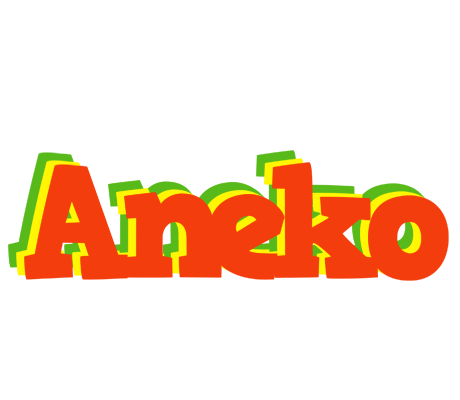 Aneko bbq logo