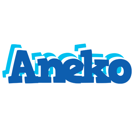 Aneko business logo