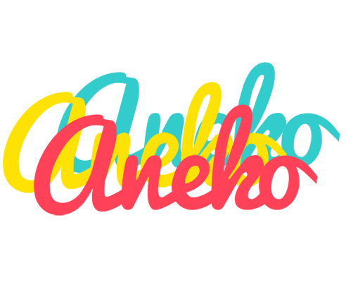 Aneko disco logo
