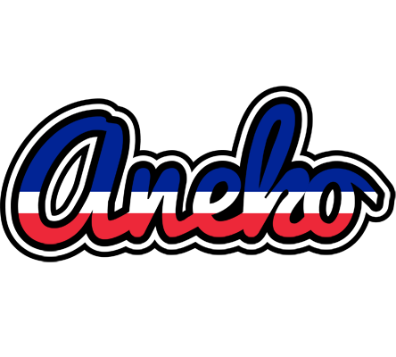 Aneko france logo