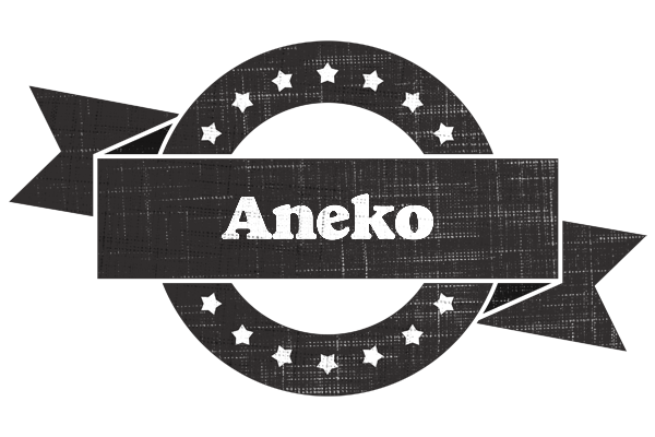 Aneko grunge logo