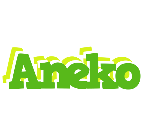 Aneko picnic logo