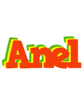 Anel bbq logo