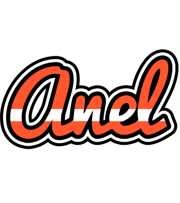 Anel denmark logo