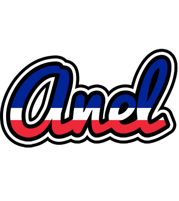 Anel france logo