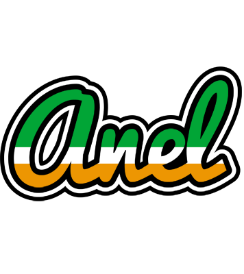 Anel ireland logo