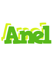 Anel picnic logo