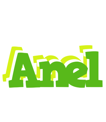 Anel picnic logo