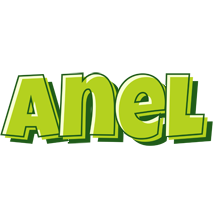 Anel summer logo