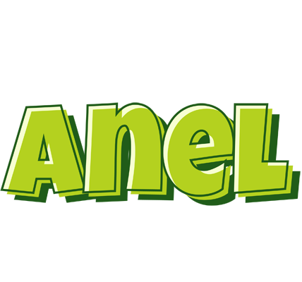 Anel summer logo