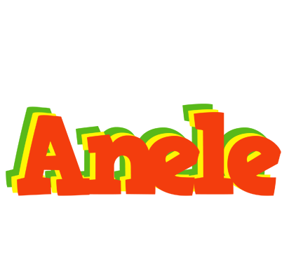 Anele bbq logo