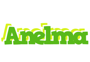 Anelma picnic logo